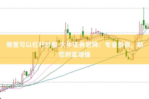 哪里可以杠杆炒股 大牛证券官网：专业投资，助您财富增值