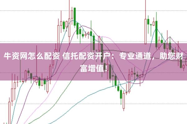 牛资网怎么配资 信托配资开户：专业通道，助您财富增值！