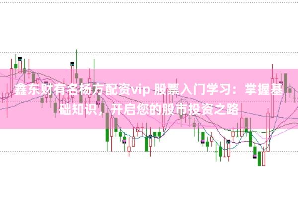 鑫东财有名杨方配资vip 股票入门学习：掌握基础知识，开启您的股市投资之路