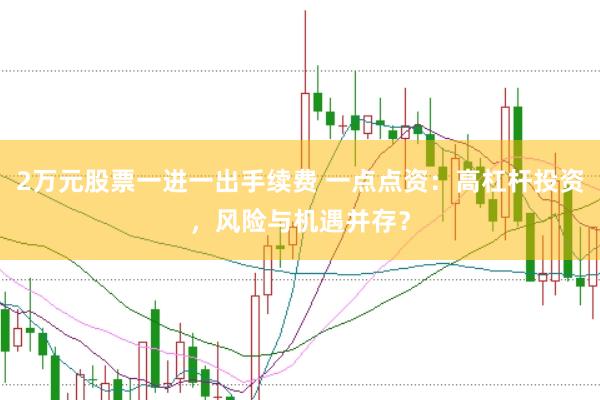 2万元股票一进一出手续费 一点点资：高杠杆投资，风险与机遇并存？