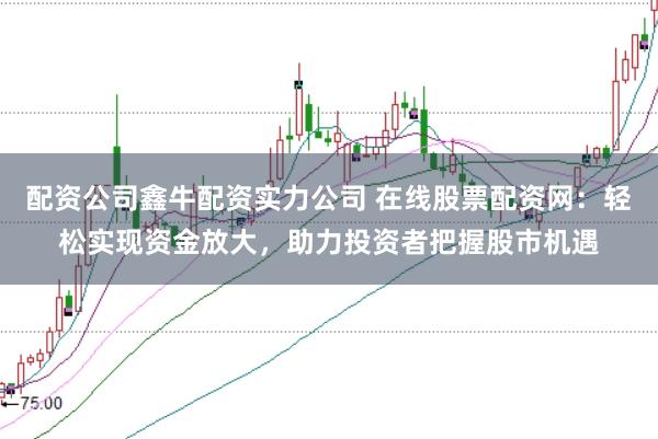 配资公司鑫牛配资实力公司 在线股票配资网：轻松实现资金放大，助力投资者把握股市机遇