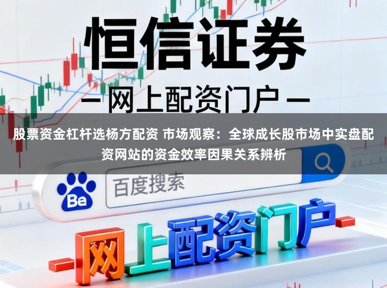 股票资金杠杆选杨方配资 市场观察：全球成长股市场中实盘配资网站的资金效率因果关系辨析